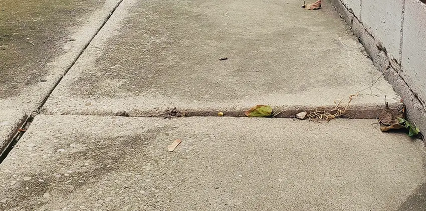 Walkway & Sidewalk Leveling in Northern Colorado